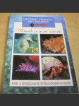 Středozemní moře - náhled