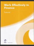 Work Effectively in Finance Tutorial (veľký formát) - náhled