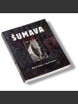 Šumava - Alfred Kubin / Josef Váchal - náhled