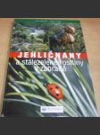 Jehličnany a stálezelené rostliny v zahradě - náhled
