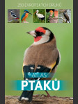 Atlas ptáků - náhled