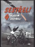 SESTŘEL 4. SK331. Brzkovský Marek - náhled