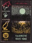 Tajemství třetí tůně růžička jiří - náhled