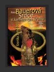 Srdce v kamenném kruhu - Kronika země Bójů - náhled
