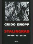 Stalingrad  - náhled