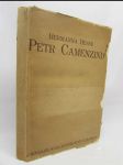 Petr Camenzind - náhled