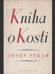 Kniha o Kosti - náhled