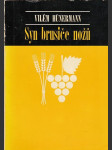 Syn brusiče nožů - náhled
