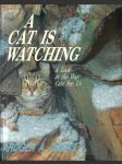 A cat is watching: A look at the Way Cats See Us - náhled