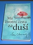 Má životní cesta za duší - Meditace na každý den v roce - náhled