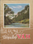 Čierny a biely váh - náhled