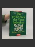 Das große Buch der Naturheilweisen - náhled