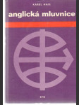 Anglická mluvnice - náhled