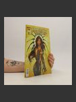 Witchblade 12 - náhled