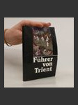 Führer von Trient - náhled