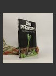 Die Pflanzen. Algen, Blumen, Holzegewäsche - náhled