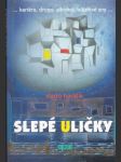 Slepé uličky - náhled