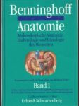 Benninghoff Anatomie. Makrospopische Anatomie, Embryologie und Histologie des Menschen 1. - náhled