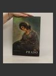 Prado - náhled
