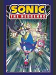 Ježek sonic 4 - nákaza flynn ian - náhled