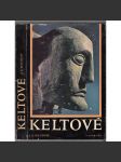 Keltové (keltská společnost, keltské umění, náboženství, druidismus, vpády, každodenní život Gallů) - náhled