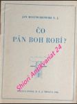 Čo pán boh robí ? - rostworowski jan t.j. - náhled