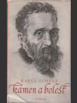 Kámen a bolest - náhled