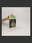 Fotobuch für Kinder - náhled