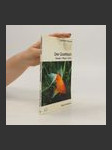 Der Goldfisch - náhled