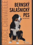 Bernský salašnicky pes - náhled