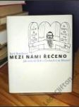 Mezi námi řečeno - náhled