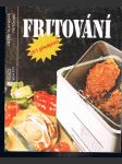 Časopis sešity domácího hospodaření svazek 173 - fritování - náhled