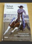 Nejtěžší překážka - náhled