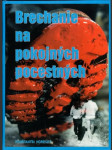 Brechanie na pokojných pocestných - náhled