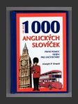 Víc než 1000 anglických slovíček - náhled