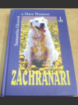 Záchranáři - náhled