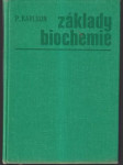 Základy biochemie (väčší formát) - náhled