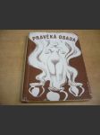 Pravěká osada - náhled