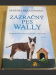 Zázračný pes Wally - náhled