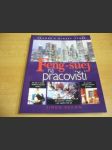 Feng-šuej na pracovišti. Jak začít a rozvíjet úspěšnou pracovní kariéru. Jak vytvářet inspirující pracovní prostředí. Jak pracovat v kolektivu a jak úspěšně řídit lidi. - náhled