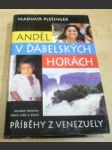 Anděl v ďábelských horách. Příběhy z Venezuely - náhled