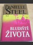 Bludiště života - náhled