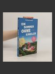 Ein Sommer ohne Kanzler - náhled