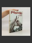 Pferde - náhled