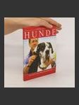 Hunde - náhled