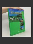 Traumstrassen Neuseeland - náhled