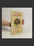 Indiáni. Tvořivé nápady - náhled