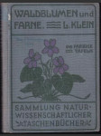 Waldblumen und farne  V.(malý formát) - náhled