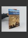 Auf den Spuren des Moses - náhled