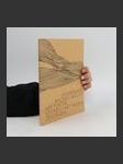 Annemarie Balden-Wolff. Mit Tusche sticken. Mit Fäden zeichnen - náhled